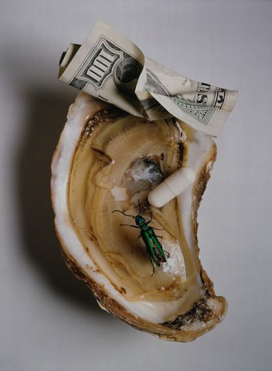 Aphrodisiacs, New York, 1997, gelatin silver print by Irving Penn. Gift of Robert A. Freson Family, Bowdoin College Museum of Art, Brunswick, Maine. © Condé Nast.