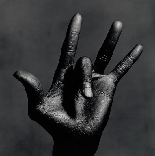 The Hand of Miles Davis, New York, 1986, gelatin silver print by Irving Penn. Gift of Robert A. Freson Family, Bowdoin College Museum of Art, Brunswick, Maine. ©The Irving Penn Foundation.