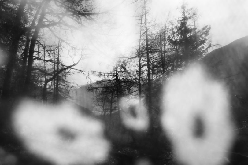 © Alison McCauley – Courtesy Photo Editions