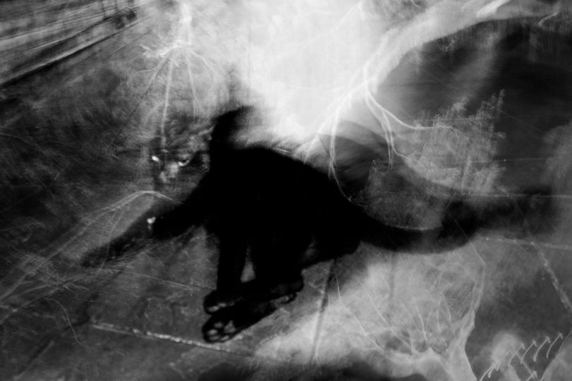 © Alison McCauley – Courtesy Photo Editions