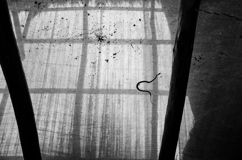 © Alison McCauley – Courtesy Photo Editions