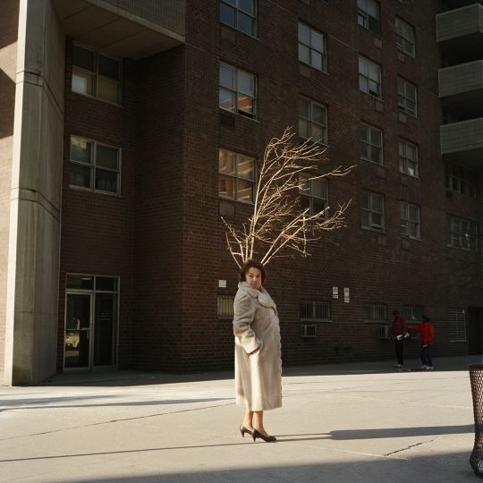 Woman with Tree, 1987 © Janet Delaney - Courtesy of the artist and EUQINOM Gallery