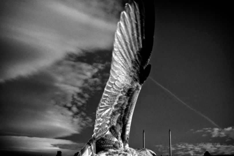 untitled 41 [On & One] © 2014 Eamonn Doyle, courtesy gallery Fifty One
