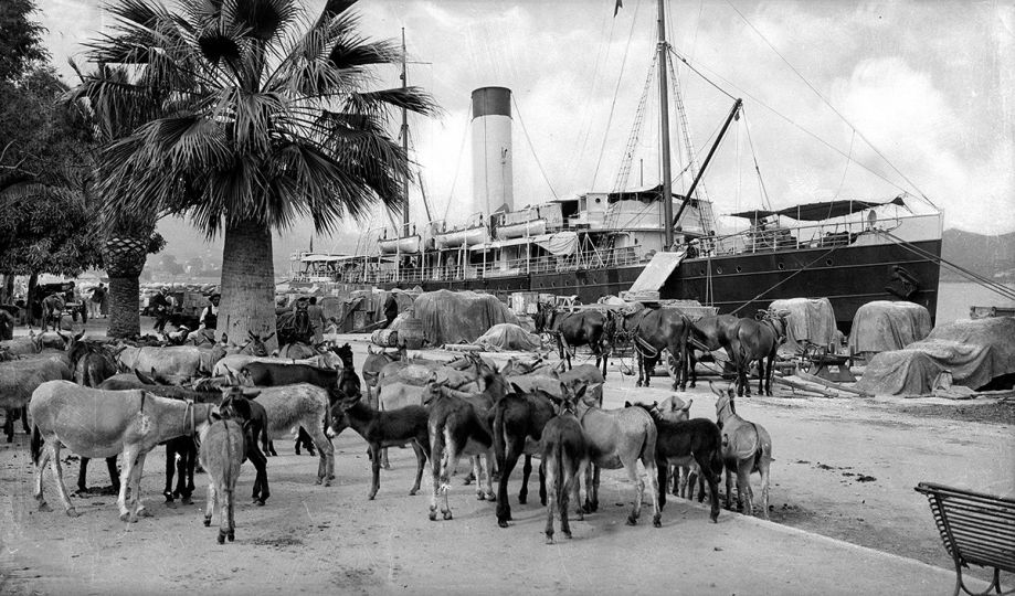 Ajaccio (Corse). Le port, vers 1900. © CAP / Roger-Viollet