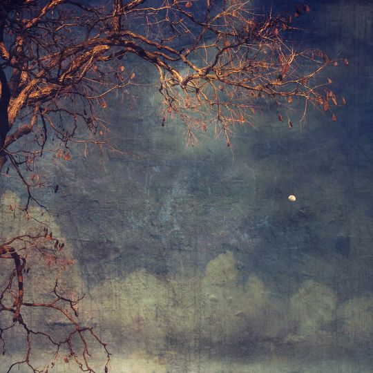 Moonglow © Wendi Schneider - Courtesy A Gallery For Fine Photography 