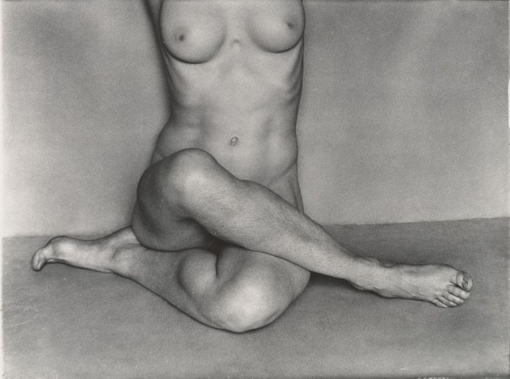 Edward Weston, Bertha Wardell, Nude, 1927, Gelatin silver print ©Center for Creative Photography, Arizona Board of Regents