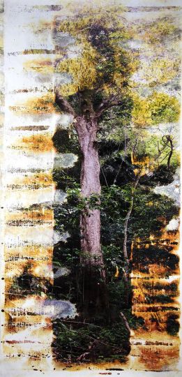 Matthew Brandt, Waiʻanae 108501, 2016. Chromogenic print buried in Waiʻanae, Hawaiʻi, 108 x 50 inches. Courtesy of the Artist © Matthew Brandt