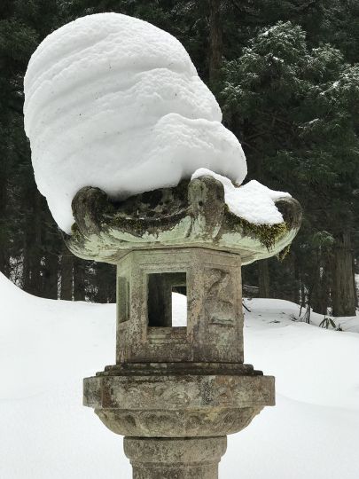 © José Lévy