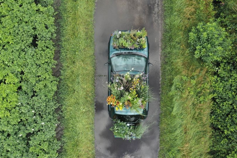 Art Rotterdam AKINCI Inge Meijer, Tuin Auto (Car Garden) still, 2021, Ilford gold fibre silk, framed with museum glass, 40 x 60 cm