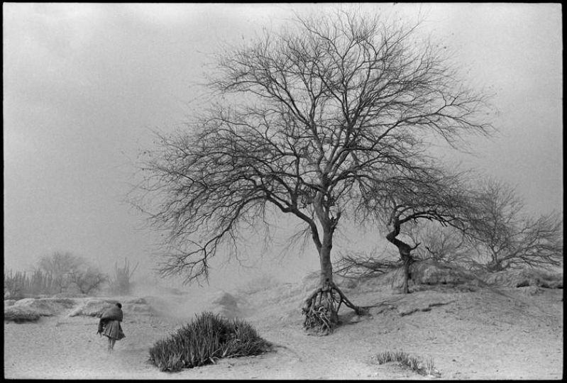 MEXICO. State of Guerrero. 1985. Village of San Augustin de Oapan. A woman in a dust storm, a walking tree. Abbas_FPLG2022
© Abbas • Magnum Photos