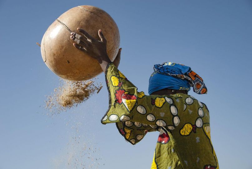 After the Harvest, Mopti, Mali, 2006 © Alissa Everett