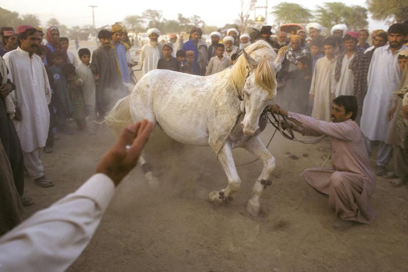 BALOCHISTAN, PAKISTAN, 1998 A horse dance is performed at the Sibi Mela Camel Festival. © Ed Kashi - Courtesy Kehrer Verlag