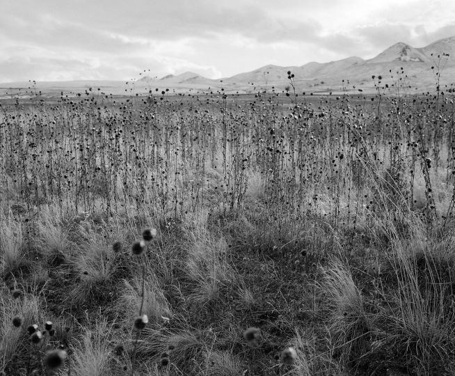 Antelope Island, Utah USA 2011 © Vanessa Winship (@ Gaspé) – Courtesy Rencontres de la photographie en Gaspésie