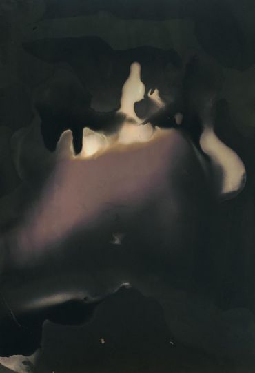 Le retour 001 - Chimigramme sur papier Lumière expiré  (peaux de grenades, fleurs de grenadier, sumac, noix de chêne, alun)
8.9cmx12.7cm
 Unique
© Lara Tabet 