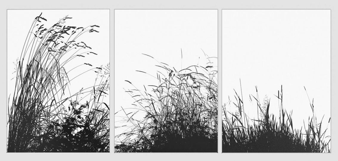 Les herbes, 2002 © Patrick Bailly-Maître-Grand – Courtesy baudouin lebon