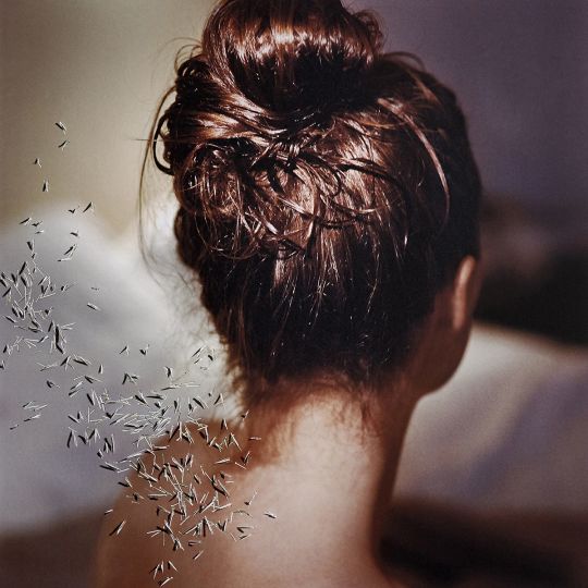 © Tabitha Soren - Courtesy of Jackson Fine Art