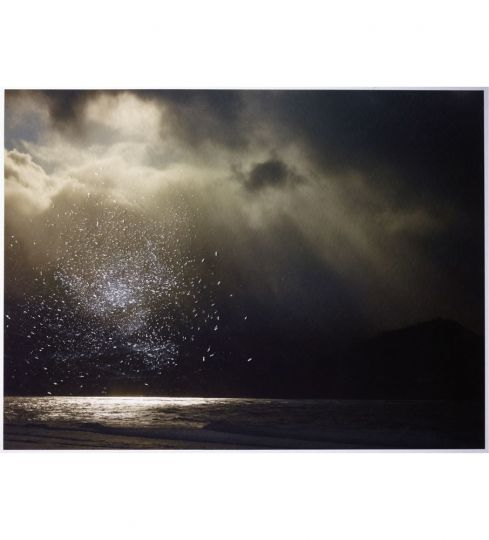© Tabitha Soren - Courtesy of Jackson Fine Art