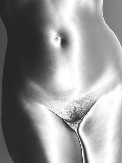 Mona Kuhn - Bushes 15 from Bushes & Succulents, 2018 Chromogenic metallic archival print 20 x 15 in - Edition of 8 +2AP - Courtesy of the artist and EUQINOM Gallery