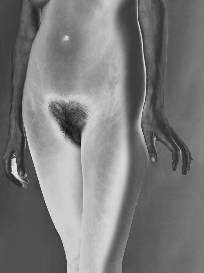 Mona Kuhn - Bushes 04 from Bushes & Succulents, 2018 Chromogenic metallic archival print 20 x 15 in - Edition of 8 + 2AP - Courtesy of the artist and EUQINOM Gallery