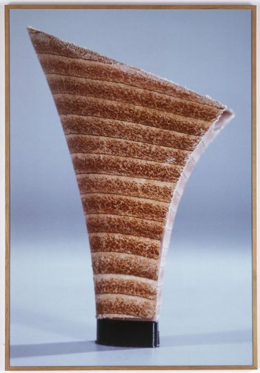 Patrick Tosani, Talon réf. 538/38, 1987, Cibachrome contrecollé sur aluminium, 171 x 117 cm, Saint-Priest-en-Jarez, Musée d'art moderne et contemporain de Saint-Étienne Métropole, © Patrick Tosani, Adagp, Paris, 2022 / Crédit photographique : Yves Bresson/Musée d'art moderne et contemporain de Saint-Étienne Métropole