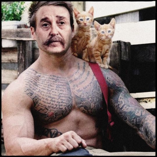 Self portrait as a real softy and a sucker for little kittens. Autoportrait en tant que personne très douce et qui aime les petits chatons. © Dan Hayon