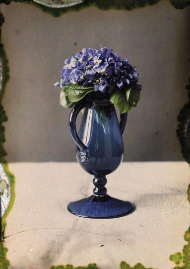 ANONYME Bouquet de violettes, s. d. © Collection AN
