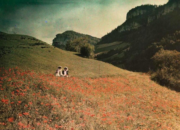 ANONYME - Dans le champ de coquelicots, s. d. © Collection AN