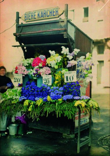 ANONYME - Kiosque de fleuriste, vers 1912 © Collection AN
