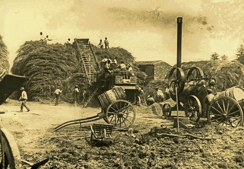 En plein battage Anetz Loire Atlantique @ vers 1900 Abel Soreau collection Jean Claude Potet