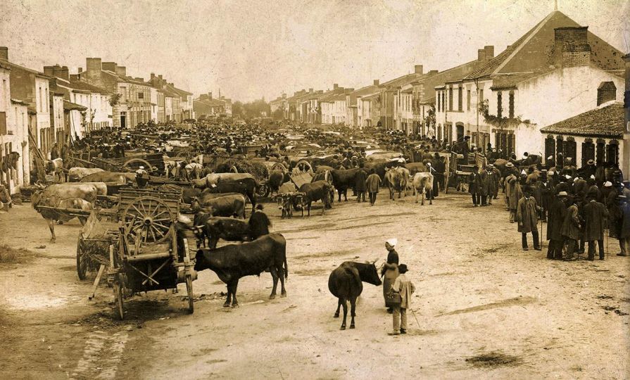 La Foire de Geneston Loire. Atlantique @ 1885 auteur inconnu collection Jean Claude Potet Musée de Bretagne Rennes