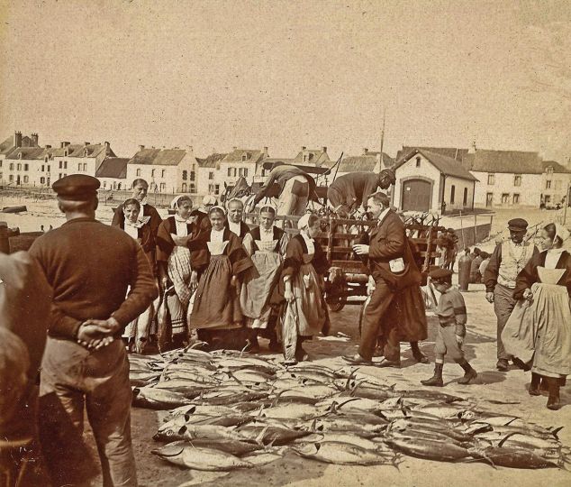 La négociation des thons La Turballe Loire Atlantique @ 1895 auteur inconnu collection Jean Claude Potet