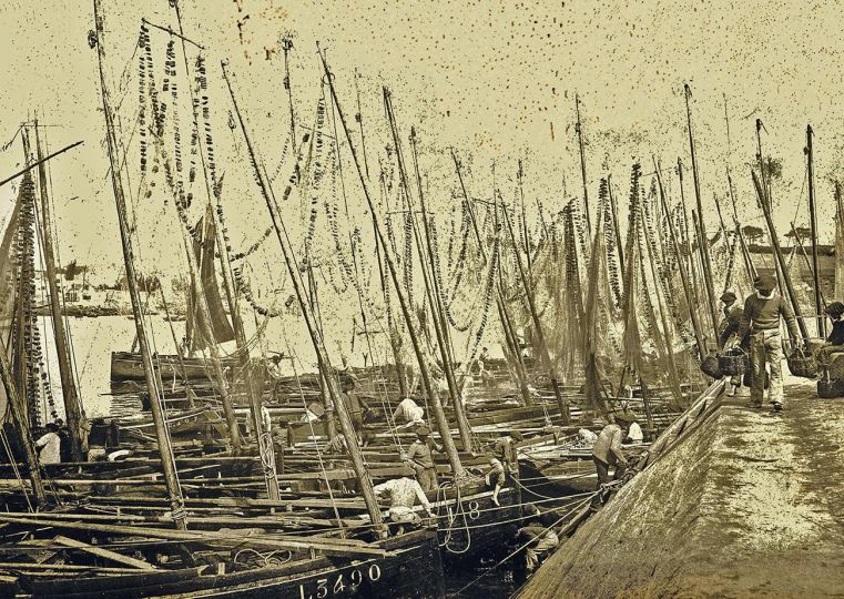 Les chaloupes sardinières au retour de la pêche Concarneau @ vers 1880 auteur inconnu Collection Jean Claude Potet