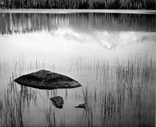 Ansel Adams 1902-1984 - Rock and Grass, Moraine Lake, Sequoia National Park, CA, 1932 (Printed 1974) © Ansel Adams. Courtesy of the Ansel Adams Publishing Trust and Peter Fetterman Gallery