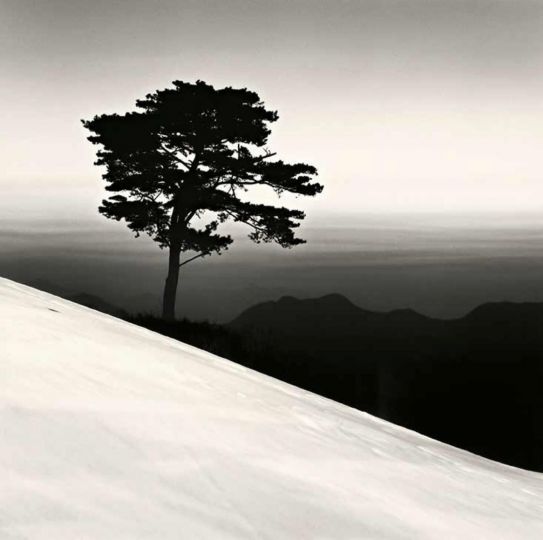 Michael Kenna - Mountain Tree, Study 1, Danyang, Chungcheonbukdo, 2011 © Michael Kenna / courtesy of Peter Fetterman Gallery
