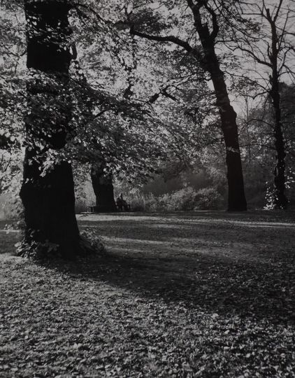 Andre Kertész - Kew Gardens, London, 1948 © Estate of Andre Kertesz / courtesy of Peter Fetterman Gallery