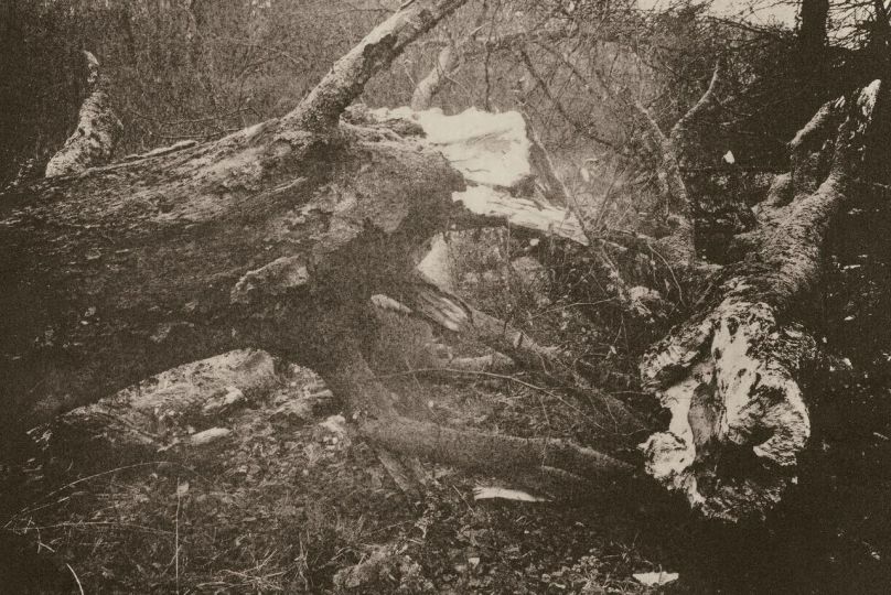 © Mélanie Dornier