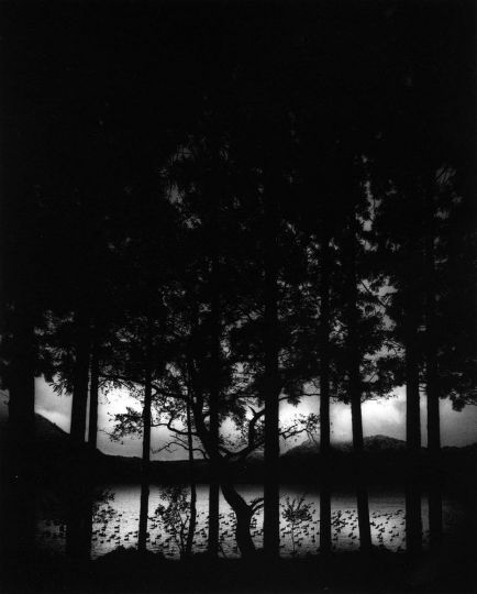 Pentti Sammallahti 1950 - Lake Numazawa, Fukushima, Japan, 2005, printed 2019 © Pentti Sammallahti / courtesy of Peter Fetterman Gallery
