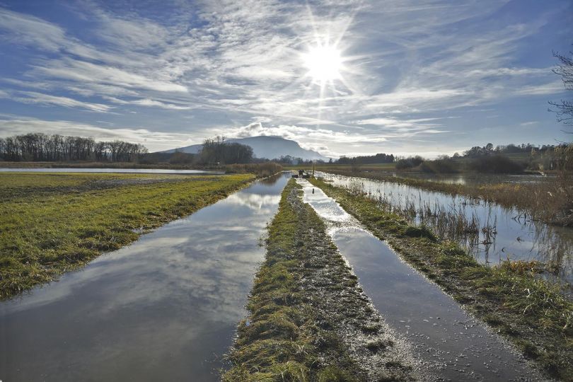 Campagne genevoise. Marais Sionnet, 2020 © Jean-Marc Martin du Theil