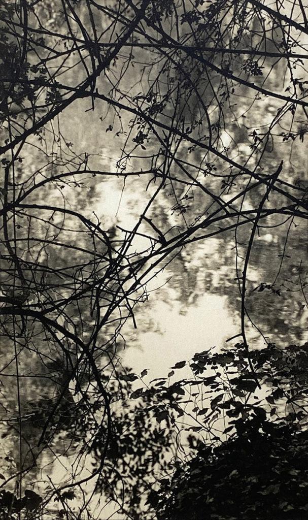 Hamiltons Gallery : Tomio Seike : Eighty - The Eye of Photography