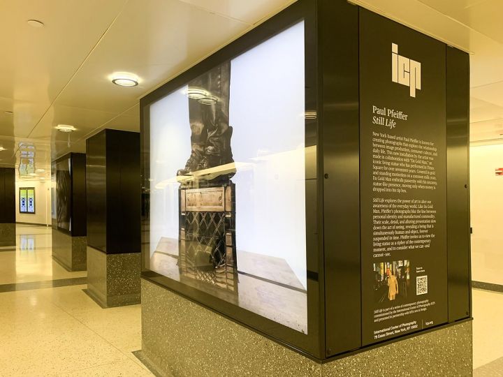 ICP & MTA Arts & Design : Paul Pfeiffer : Still Life