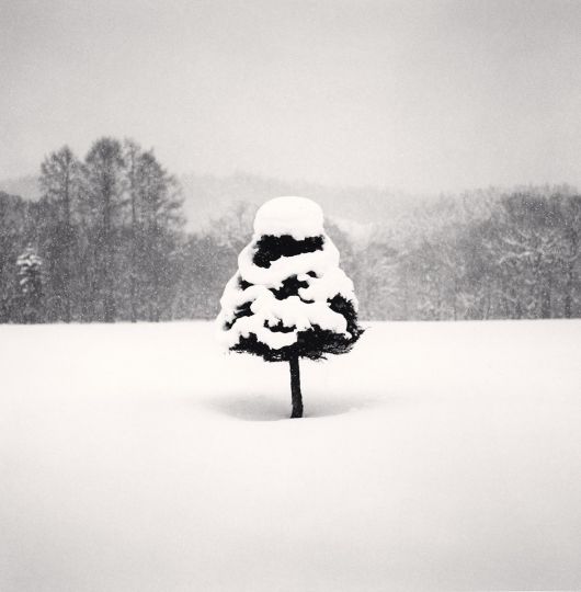 Snow Parfait Tree, Wakoto, Hokkaido, Japan. 2004 © Michael Kenna - Courtesy of the artist