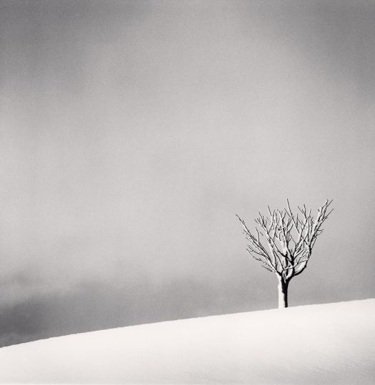 Snowfall, Numakawa, Hokkaido, Japan. 2004 © Michael Kenna - Courtesy of the artist