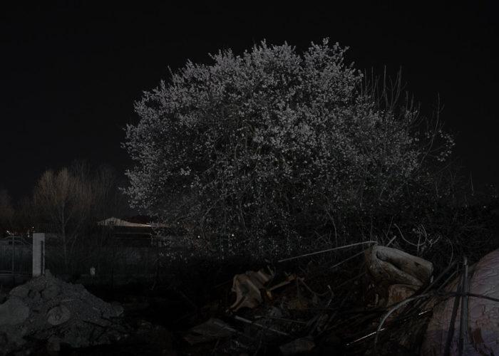 Fontaine Obscure : Michel Rey : Pollution lumineuse & Suite géométrique