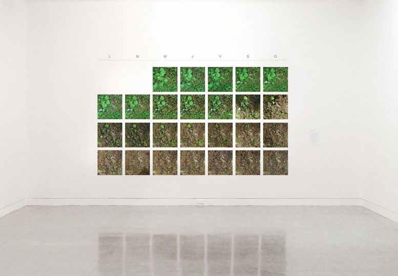 María Elvira Escallón, Paisaje doméstico, 2006, 26 tirages, 40 x 40 cm chaque, courtesy de l’artiste