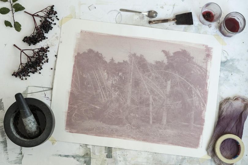 Kristof Vrancken, Strain, 2016, 46 x 61 cm, Elderberry Emulsion, courtesy de l’artiste