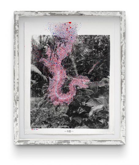 Pepe Atocha, Chacruna, 2017, 50 x 40 cm, courtesy de l’artiste