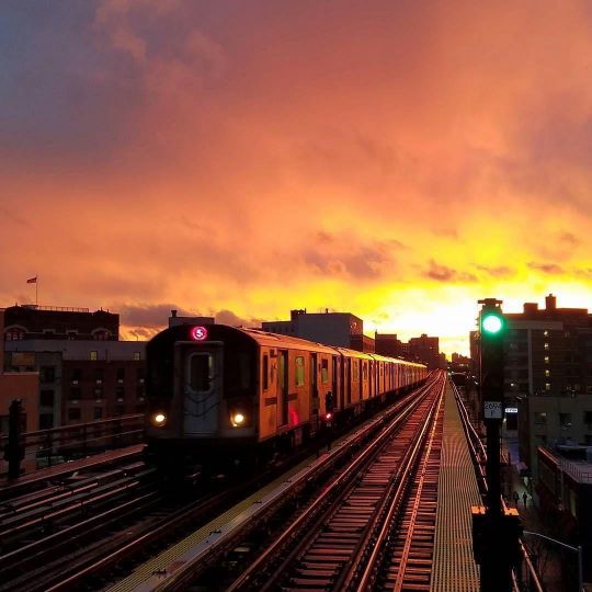 The Bronx Documentary Center : Everyday Bronx - The Eye of Photography ...