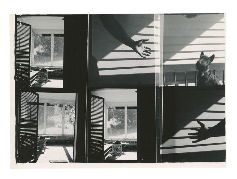 Steidl : Ralph Ellison : Photographe