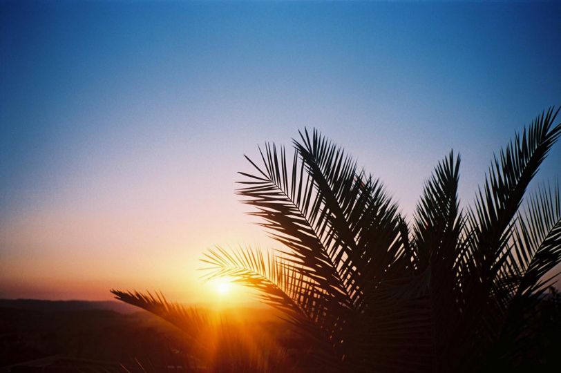 Sunset over Nazraeli Press Headquarters © Robin Siegel 