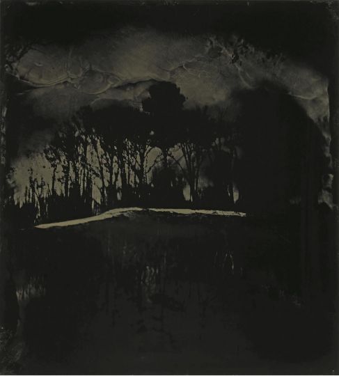 Blackwater 30 2008 - 2012 © Sally Mann - Courtesy of the artist and Gagosian